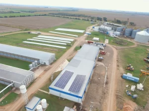 Instalación de paneles solares de BIOSOLARES en Rothex